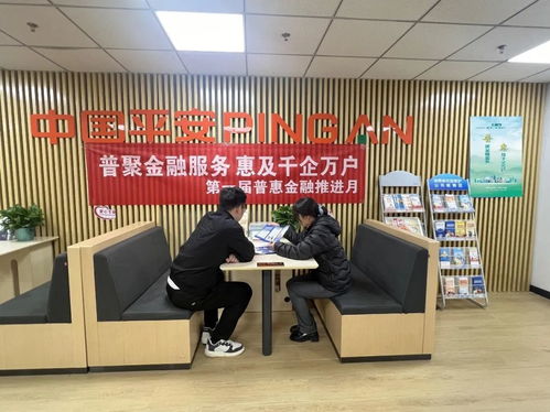 普聚金融服務 惠及千企萬戶——平安產(chǎn)險分支公司深入推進普惠金融推進月活動