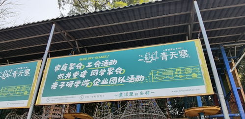 從藍(lán)圖到精彩 大型公司團(tuán)建拓展活動(dòng)的完美組織全攻略